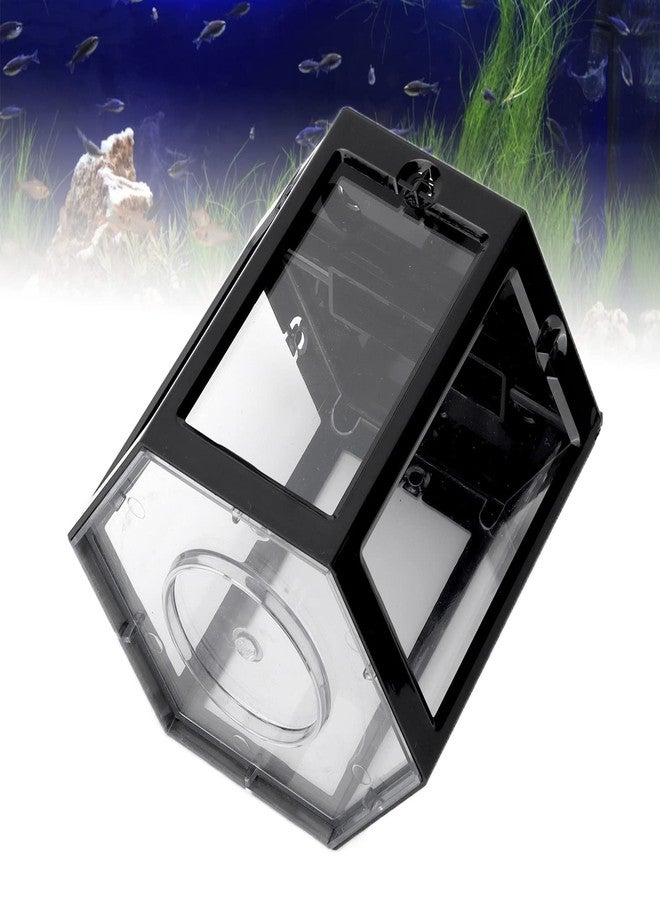 SASKATE Hex Shape Portable Mini Aquarium Tank, Small Betta Fish Tank, Mini Plastic Fish Small Hex Fish Tank, for Turtle Reptile Shrimp Moss Crab Insects Habitat as Decoration (Black) - Image 5